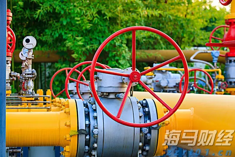 我驻美大使馆提醒中国学生学者注意赴美安全风险